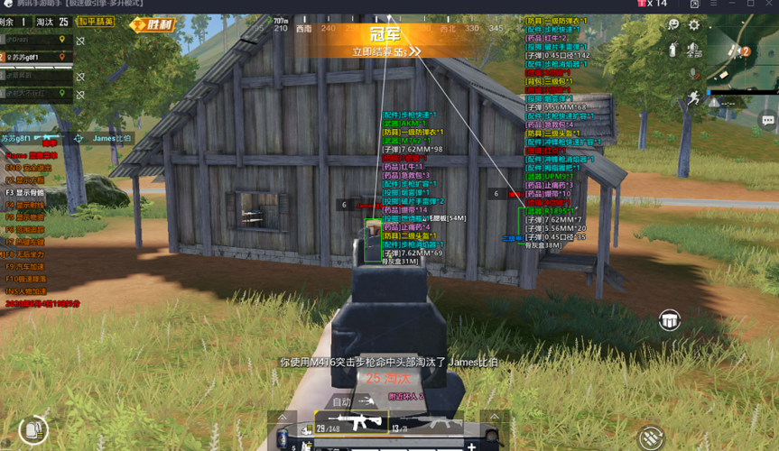 和平精英《诛仙》辅助